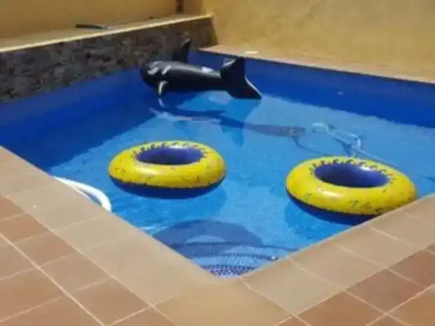 Piscina de Casa o xalet en venda en Albinyana, Tarragona