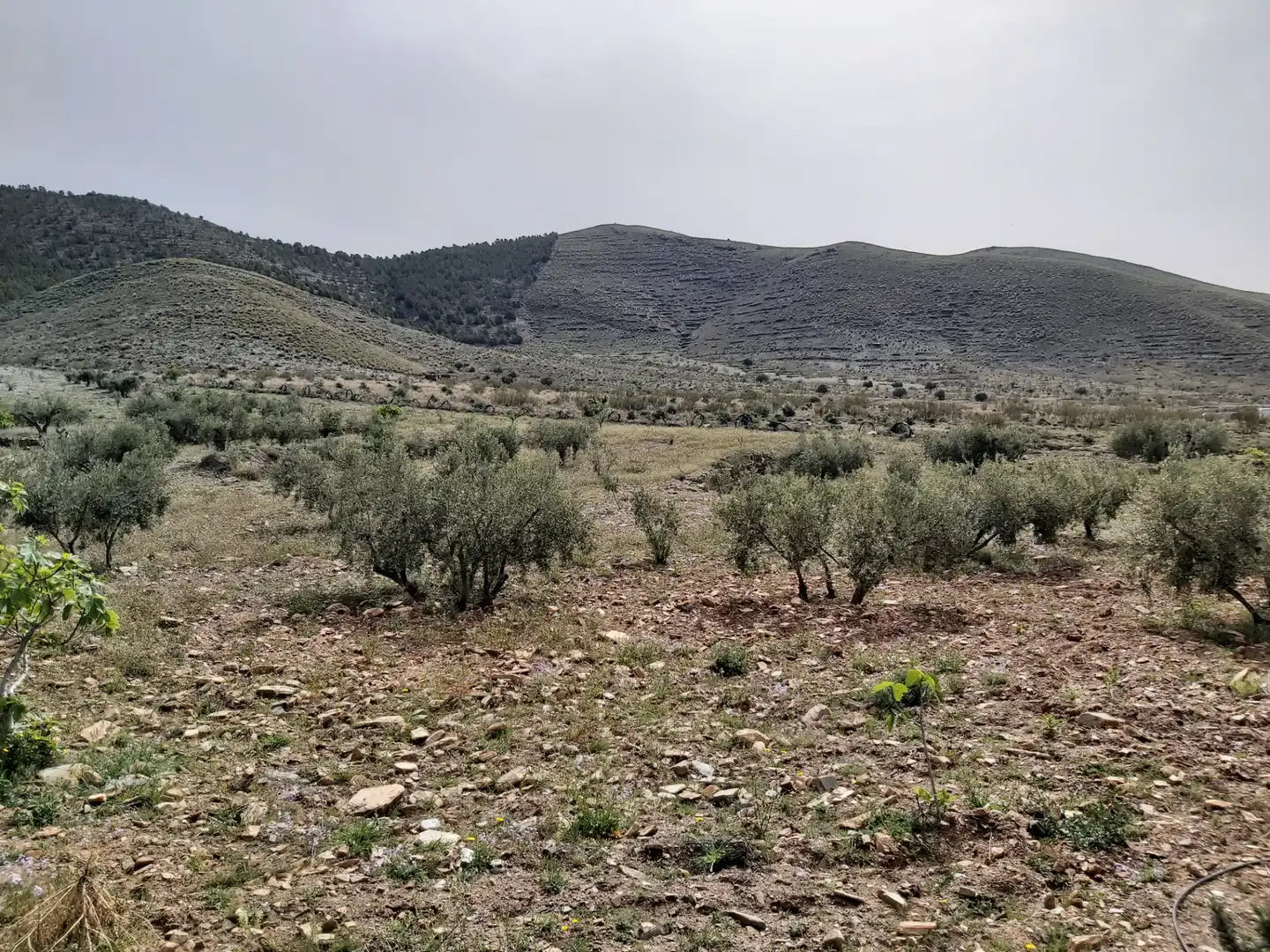 Finca rústica en venda en Gérgal amb Moblat