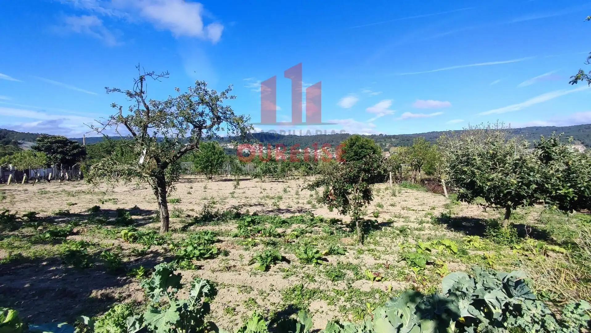 Country homes for sale in San Cibrao das Viñas  with Storage room
