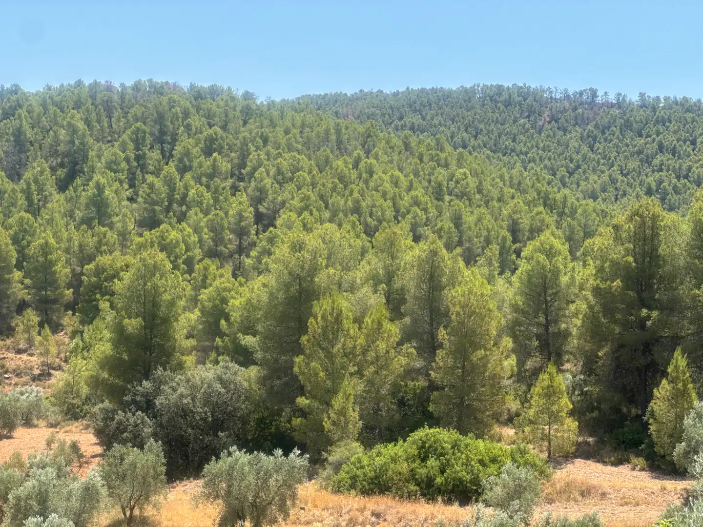 Rural land for sale in N/A, imagen 34