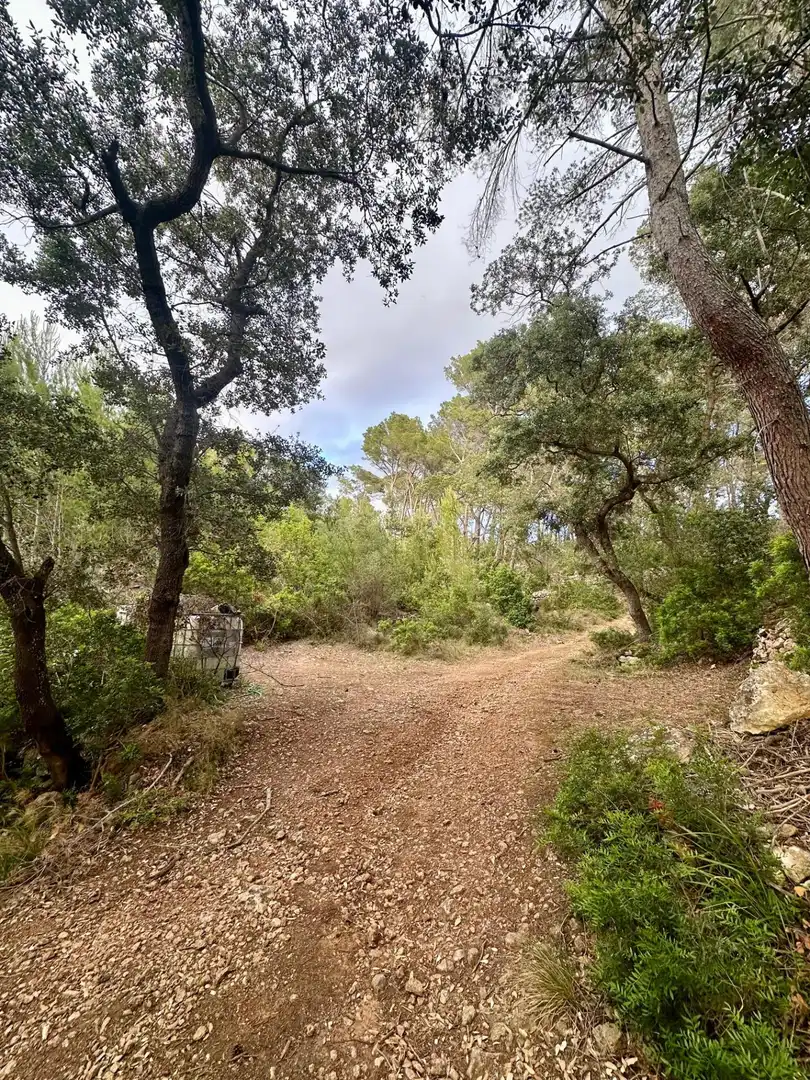 Grundstücke zum Verkauf in S'Arracó
