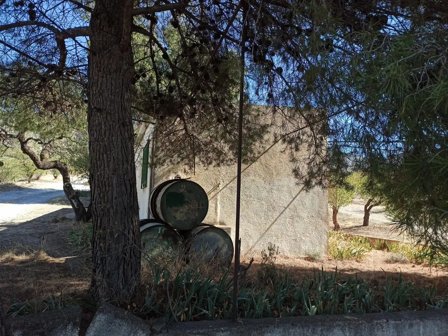 Terreni e lotti in vendita a Padul, imagen 15