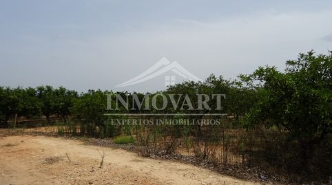 Image 4 de l'annonce