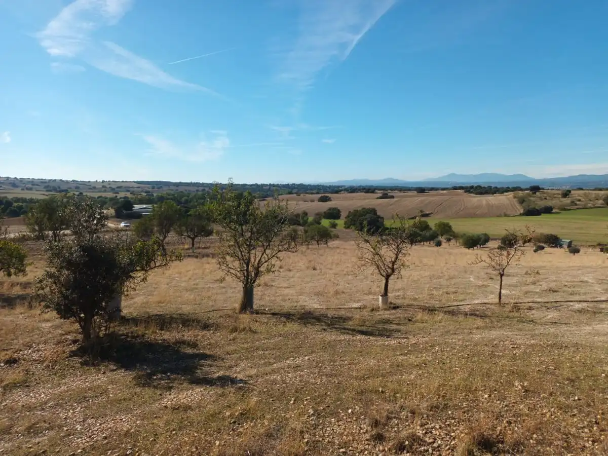 Finca rústica en venta en Brunete