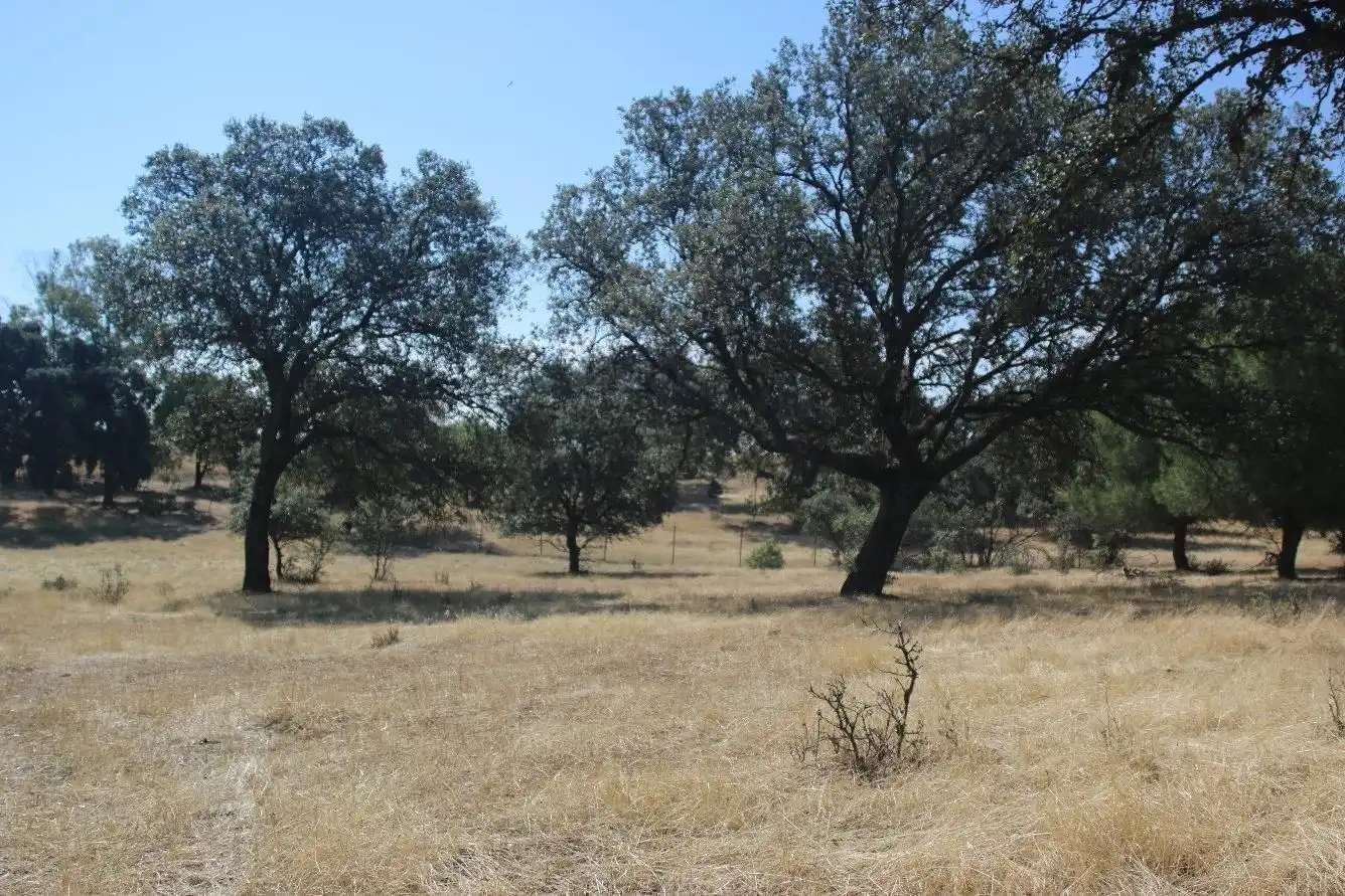 Residential zum Verkauf in Calera y Chozas