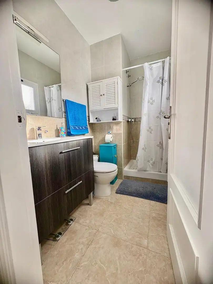 Casa pareada con terraza en venta en Avenida del Comte Gómez de Orbaneja, imagen 50