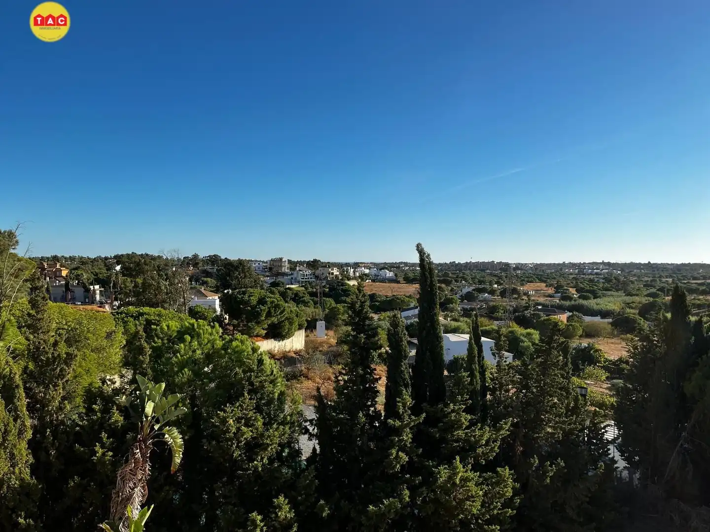Vista exterior de Casa o chalet en venta en Lepe con Aire acondicionado, Calefacción y Jardín privado