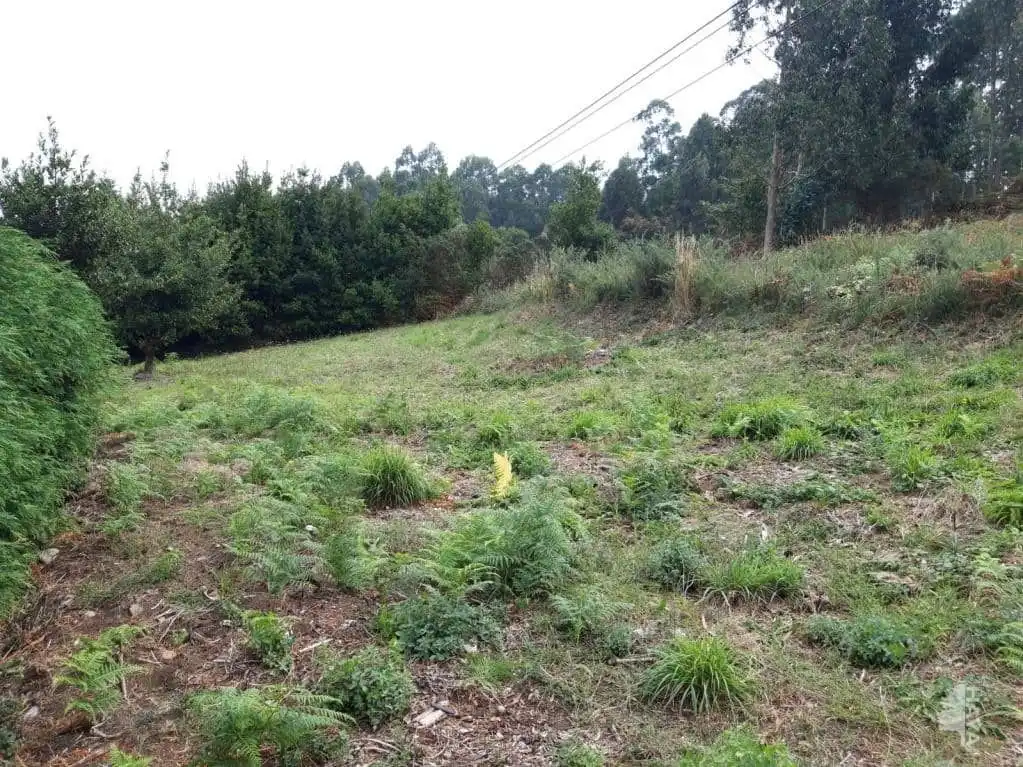 Terreni e lotti in vendita a O Vicedo, imagen 3