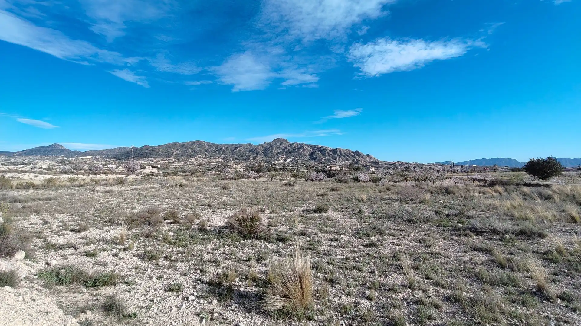 Lands and plots for sale in Abanilla, imagen 5