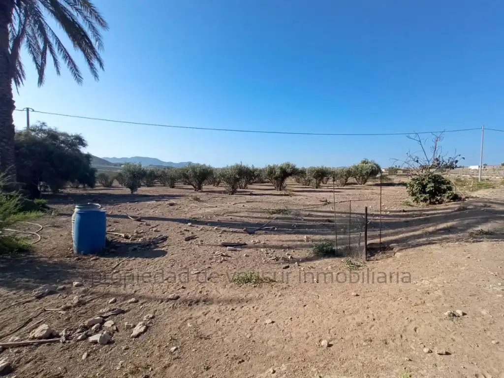 Country homes for sale in Lorca