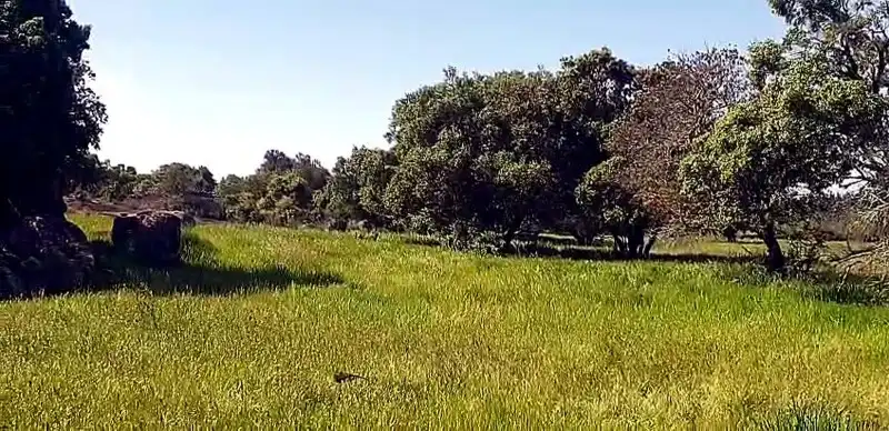 Terreni e lotti in vendita a Aldea del Cano, imagen 7