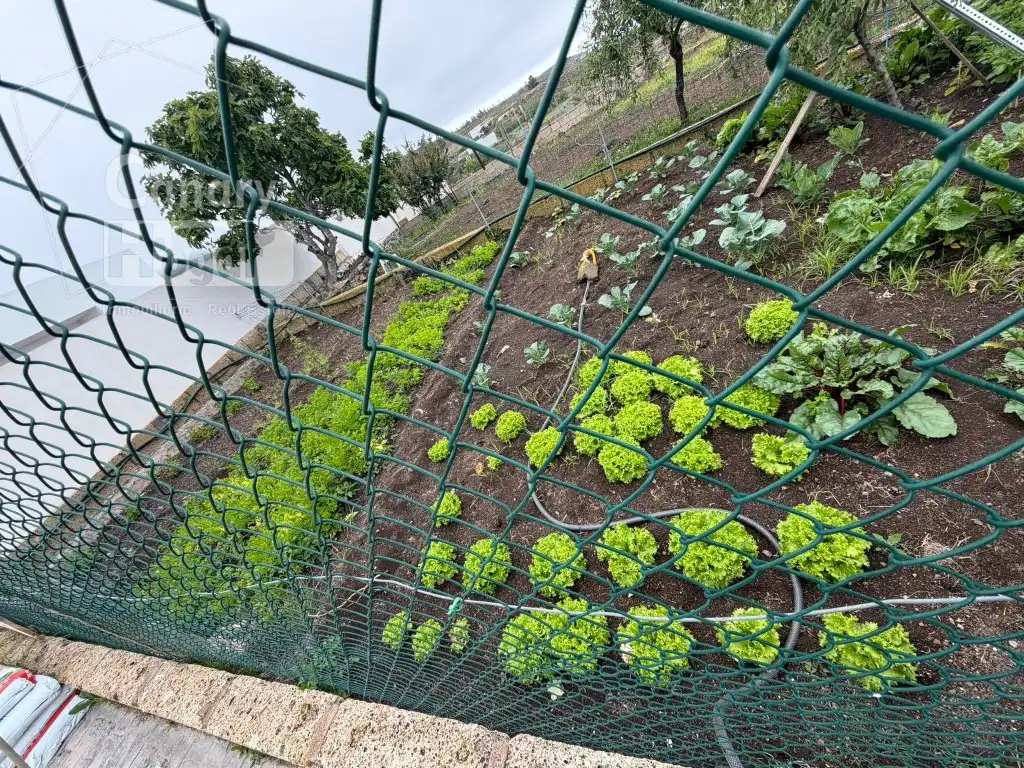 Jardí de Finca rústica en venda en Adeje amb Aire condicionat, Terrassa i Piscina