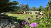 Jardí de Casa o xalet en venda en Isla Cristina