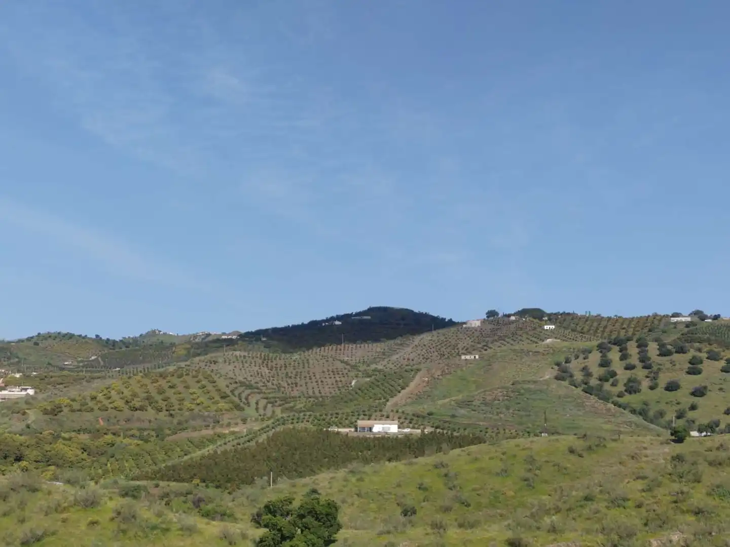 Casa rustica in vendita a Vélez-Málaga ciudad, imagen 3
