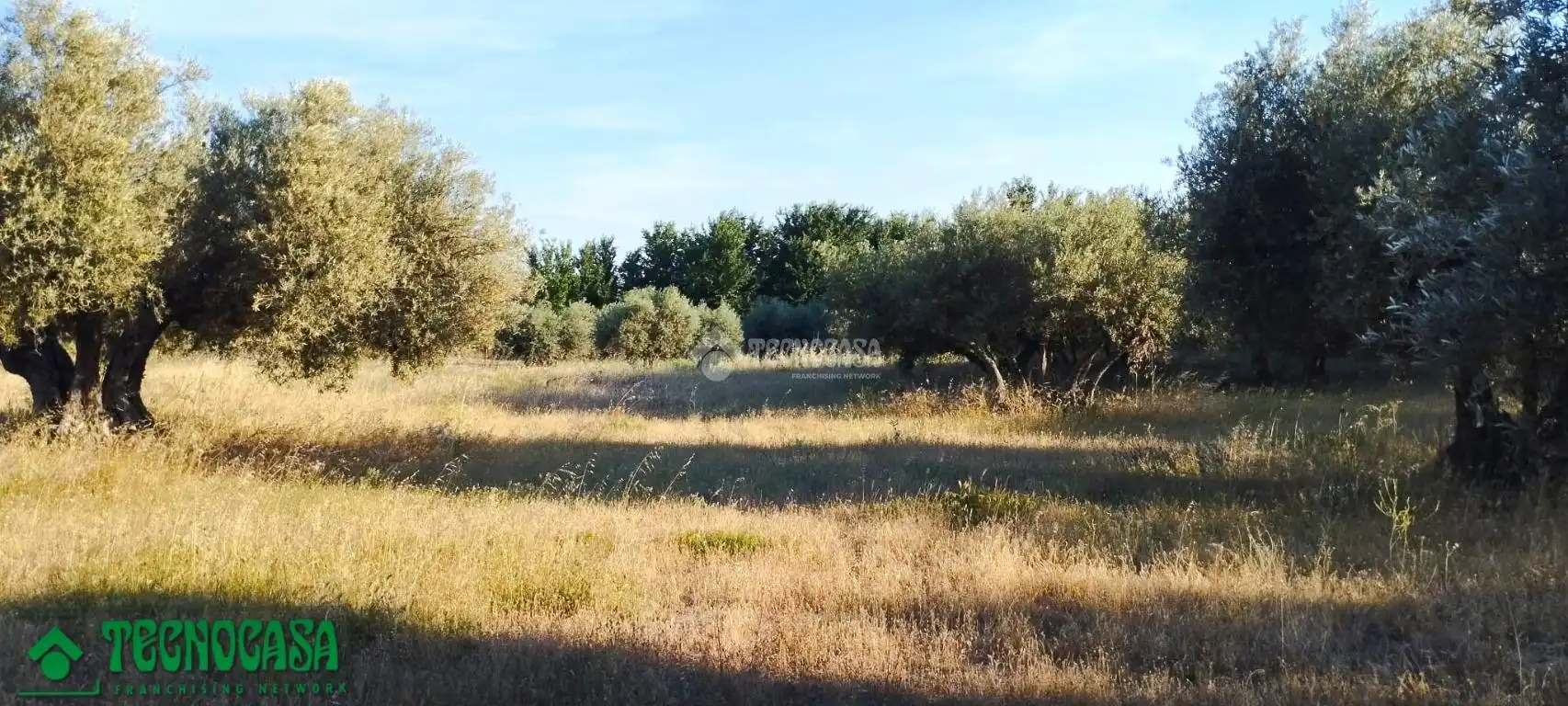 Terreni e lotti in vendita a Méntrida, imagen 11