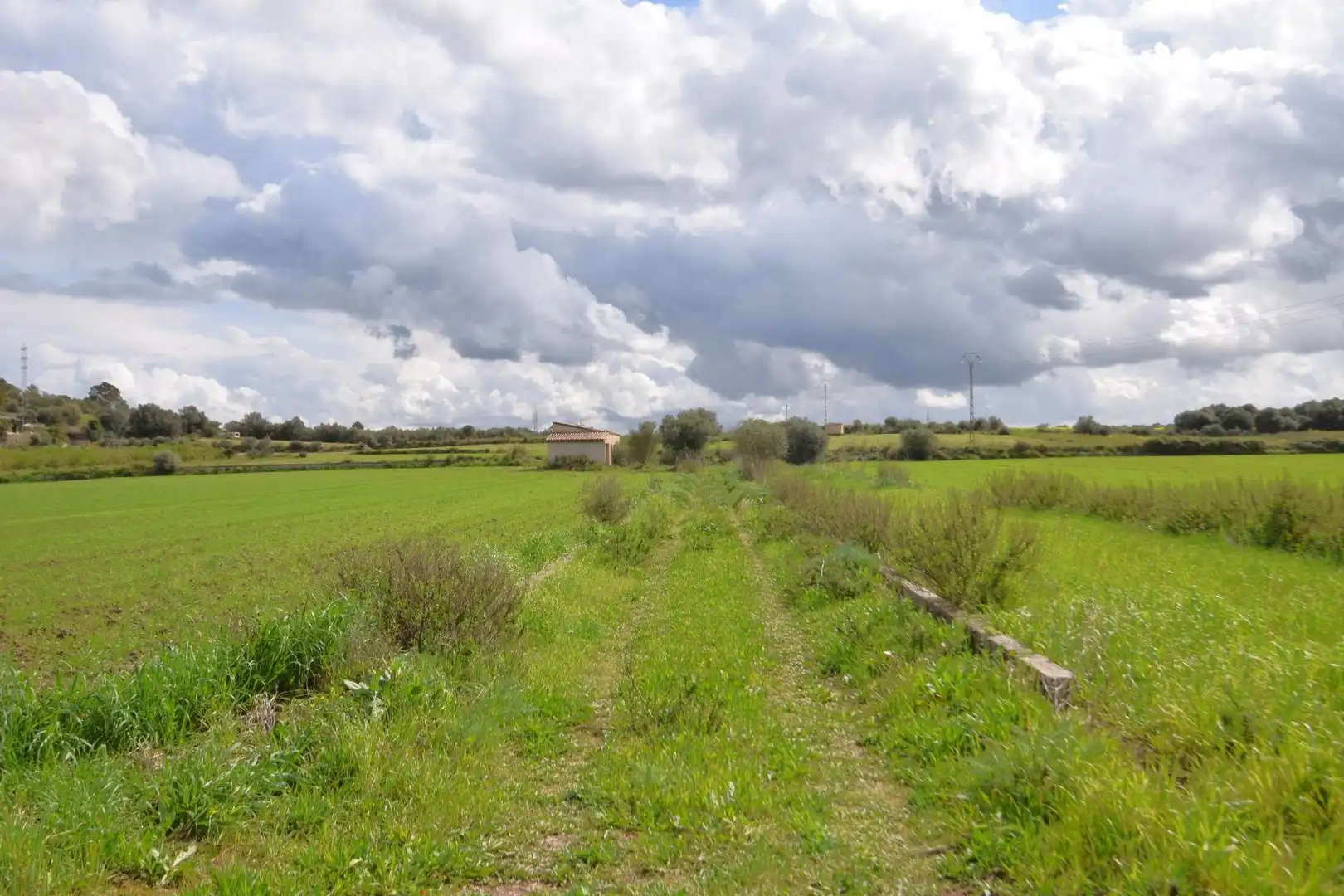 Residential land for sale in Muro, imagen 22