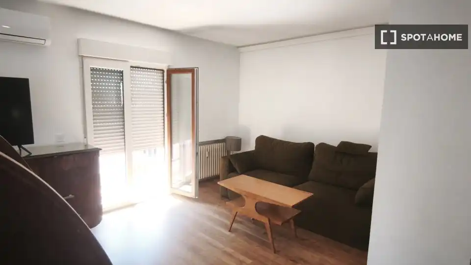 Sala de estar de Piso de alquiler en Madrid con Aire acondicionado, Calefacción y Amueblado