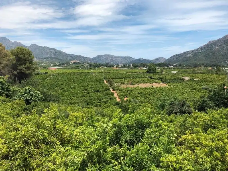 Casa o chalet en venta en Palma de Gandia con Aire acondicionado, Jardín privado y Terraza