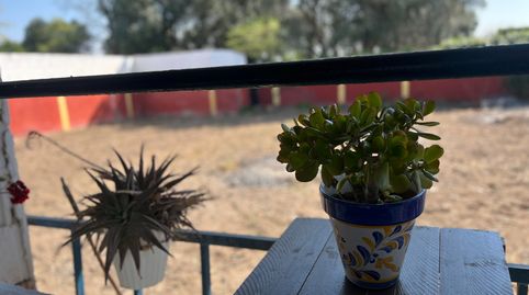 Foto 3 de Finca rústica en venta en El Burgo de Ebro, Zaragoza