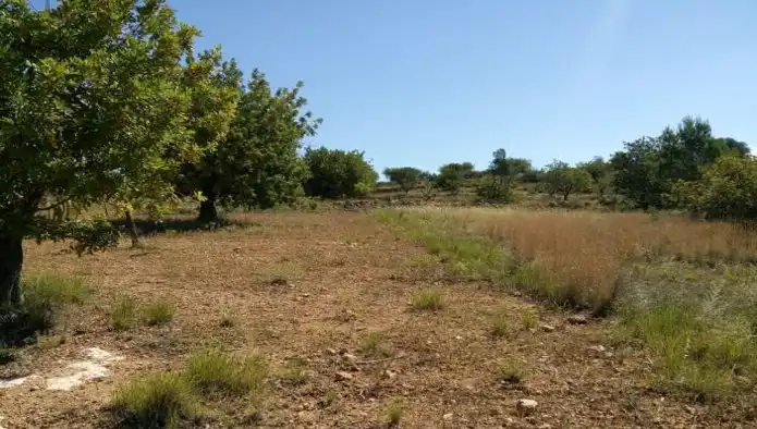 Rustikales Grundstück zum Verkauf in Pt Canaleja, imagen 5