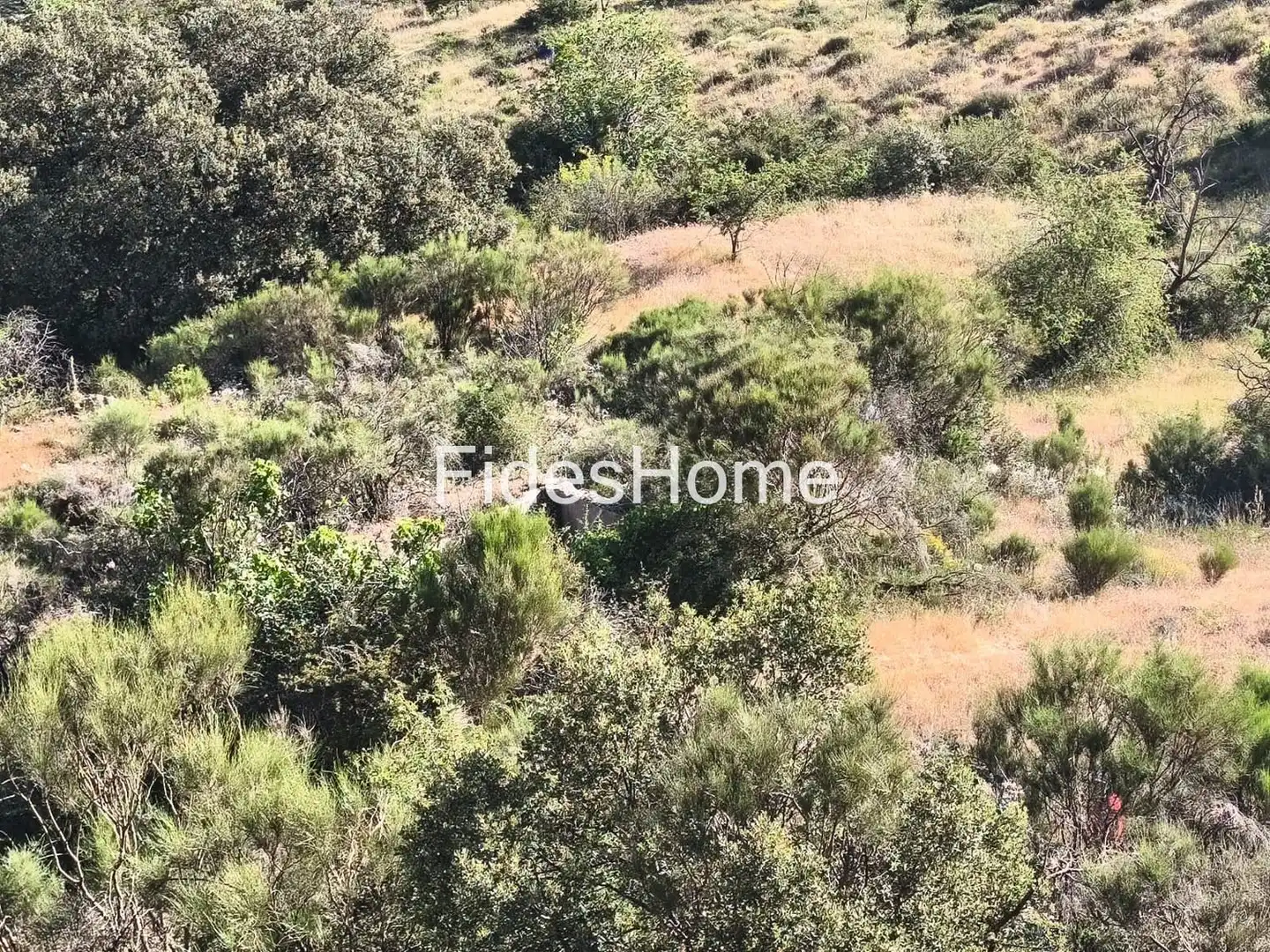 Rural land for sale in XFPP+9QX Nigüelas 0, imagen 9