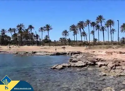 Ático con piscina en venta en Playa del Acequión, Náufragos y Rocío del Mar, imagen 83