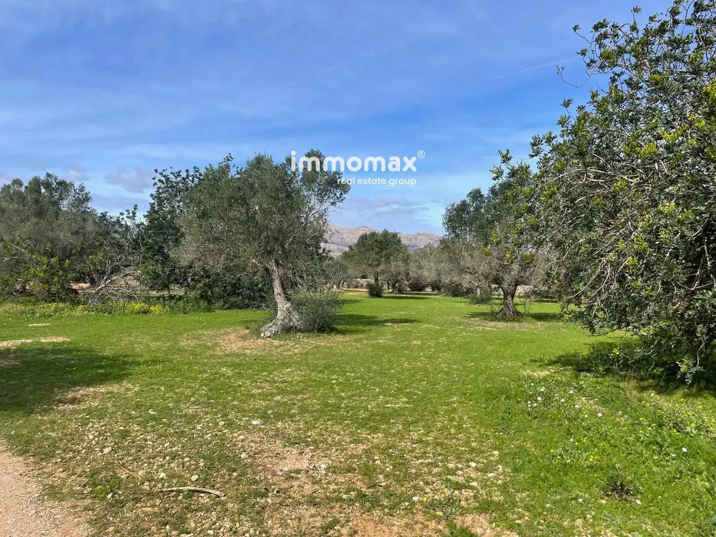 Residential land for sale in 10, imagen 23