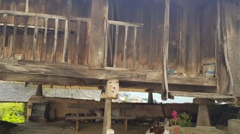 Foto 3 de Finca rústica en venta en Miño, Tineo, Asturias