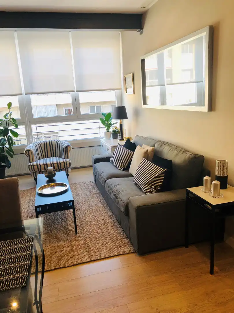 Sala d'estar de Apartament de lloguer en Madrid amb Aire condicionat, Calefacció i Moblat