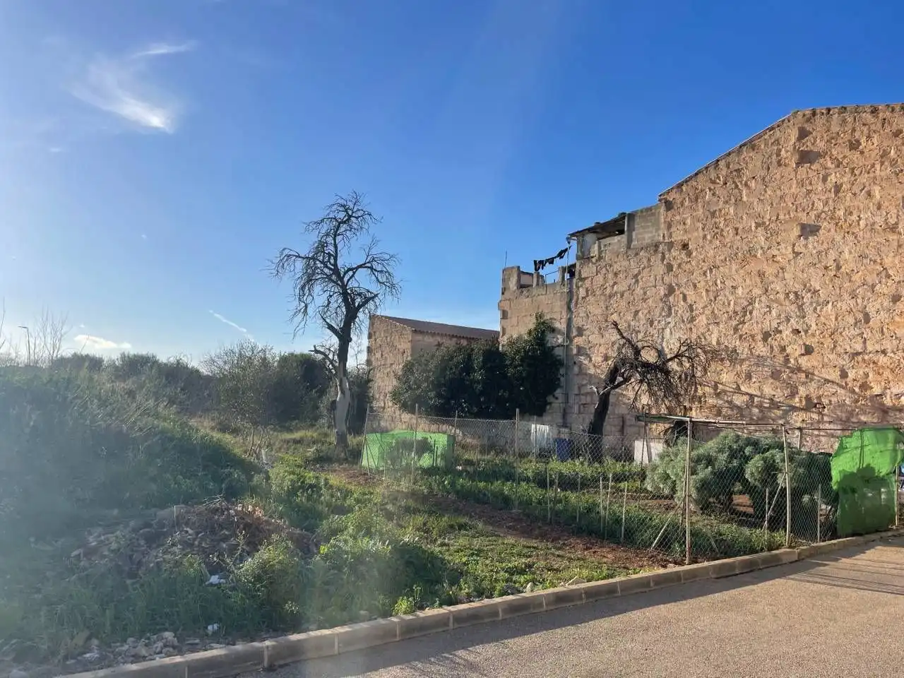 Wohnbaugrundstück zum Verkauf in Sa Pobla, imagen 4