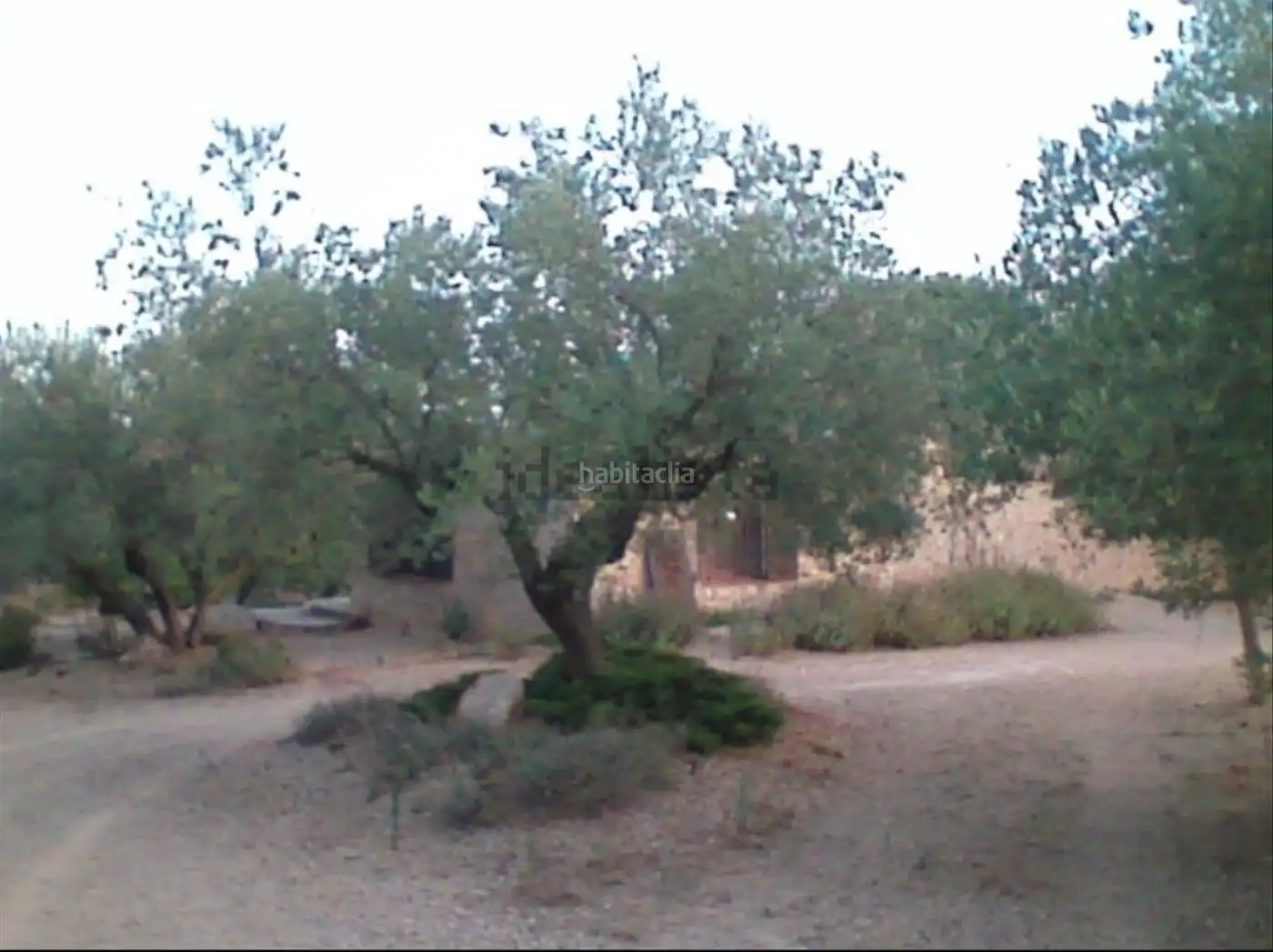 Chalet con jardín en venta en Polígon Zona a Disseminat Indústria 43560, imagen 4