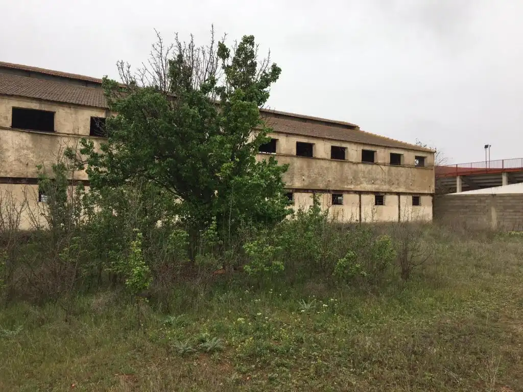Vista exterior de Terreno en venta en Madridejos