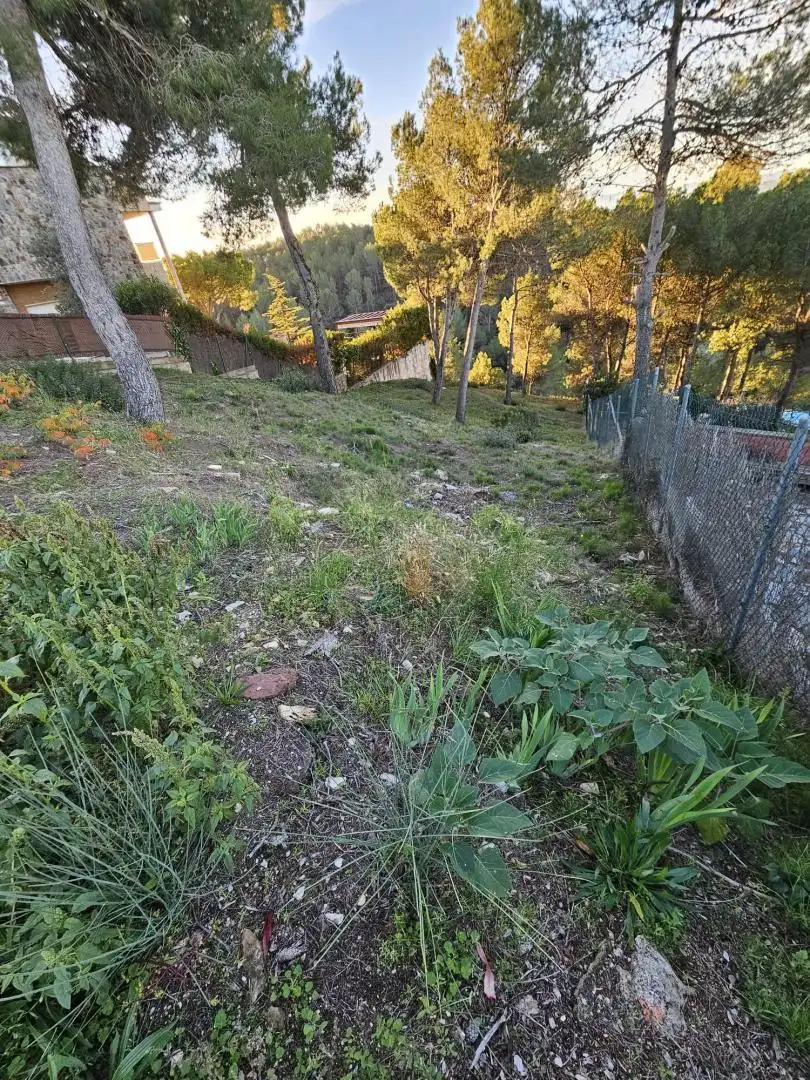 Terreny residencial en venda a de la Carena, imagen 2