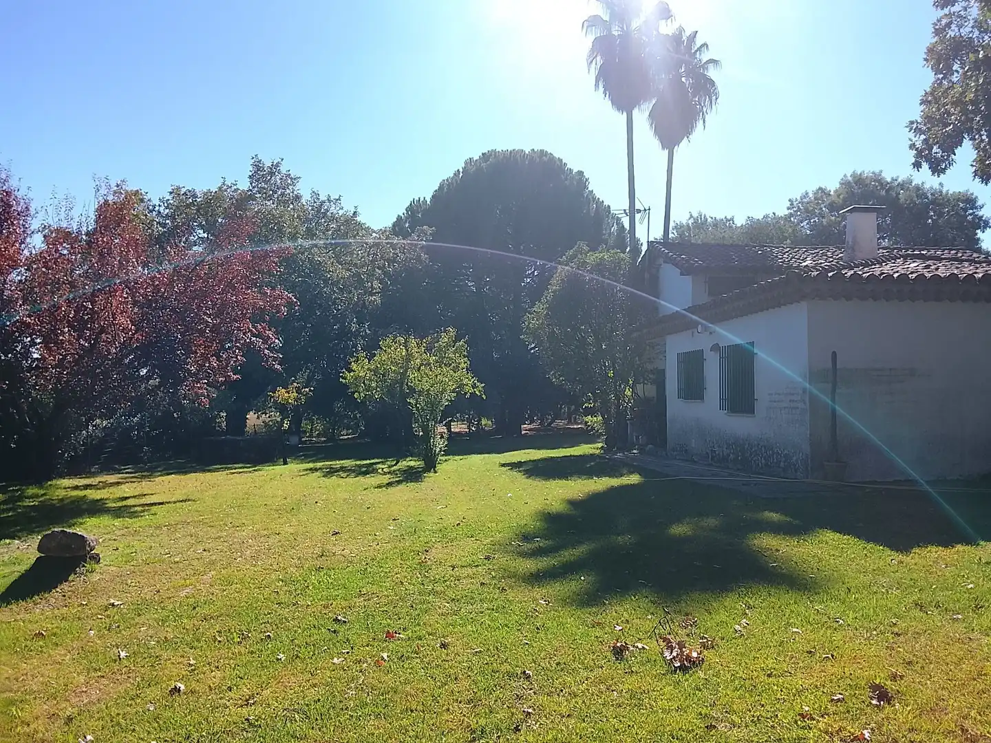 Haus mit Garten zum Verkauf in Madrigal de la Vera, imagen 107