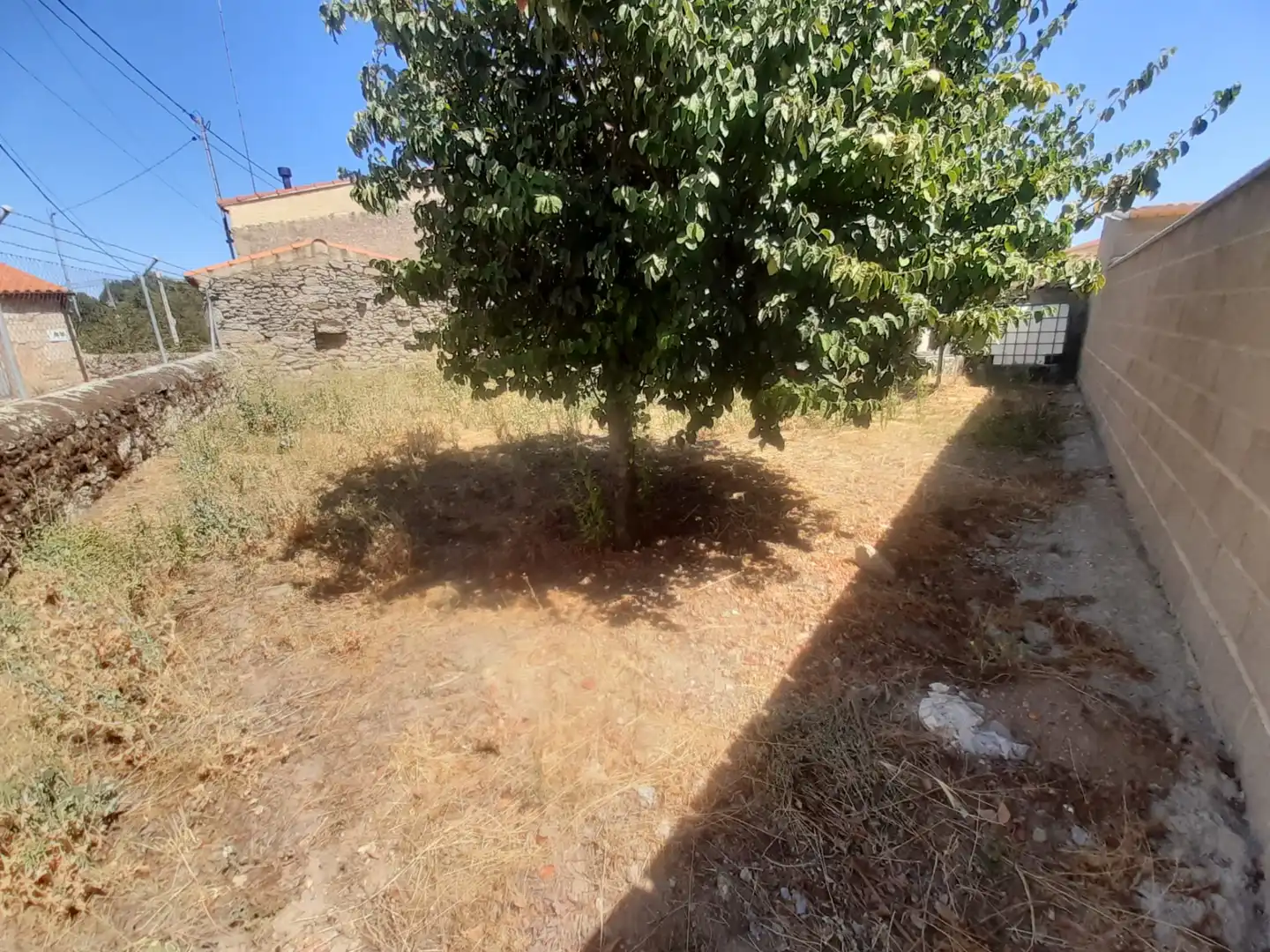 Casa o xalet en venda en Carbellino