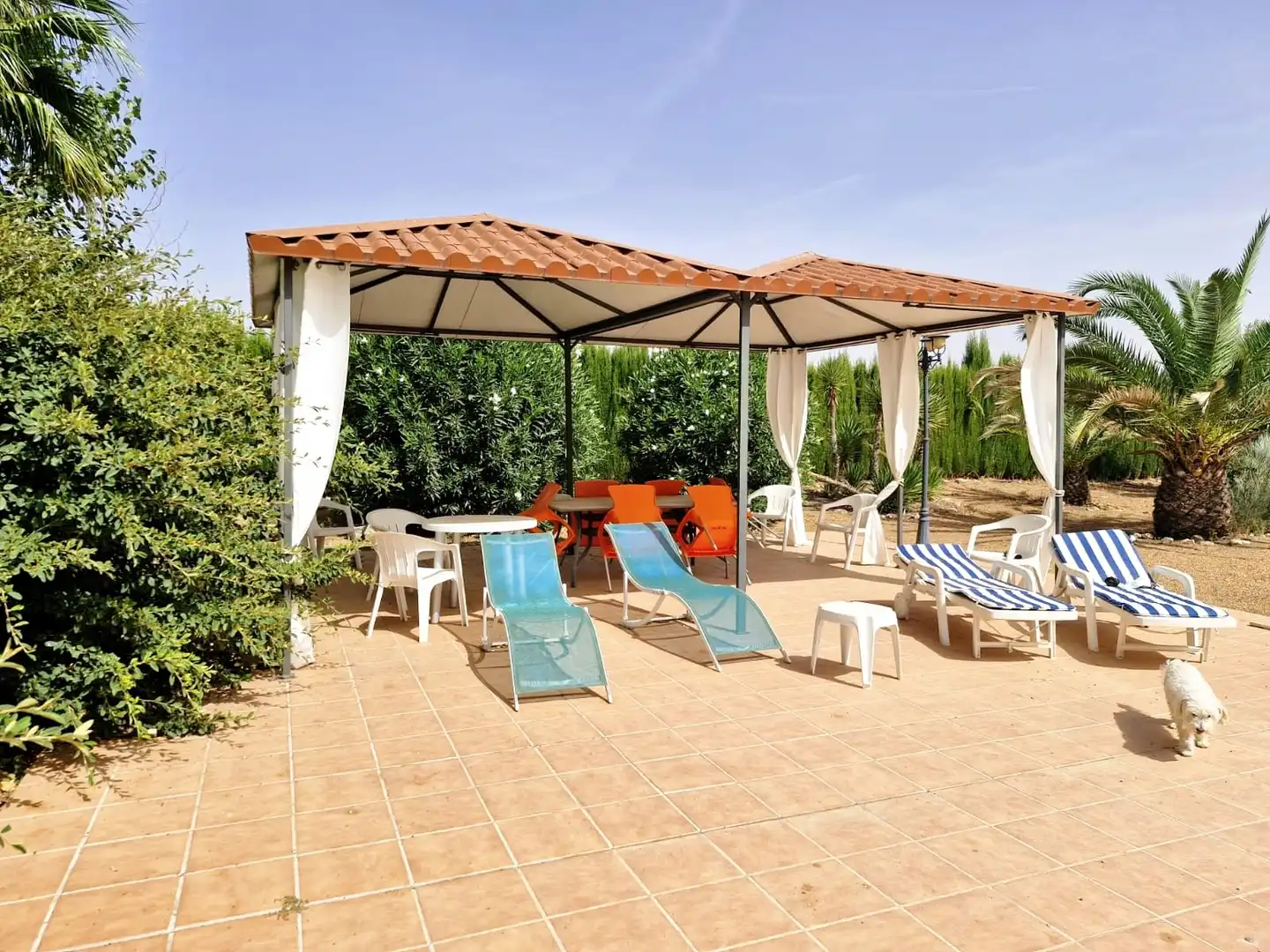 Terraza de Terreno en venta en Pozuelo de Calatrava