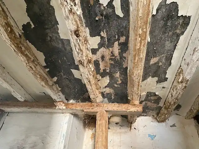 Casa o xalet en venda en La Salzadella