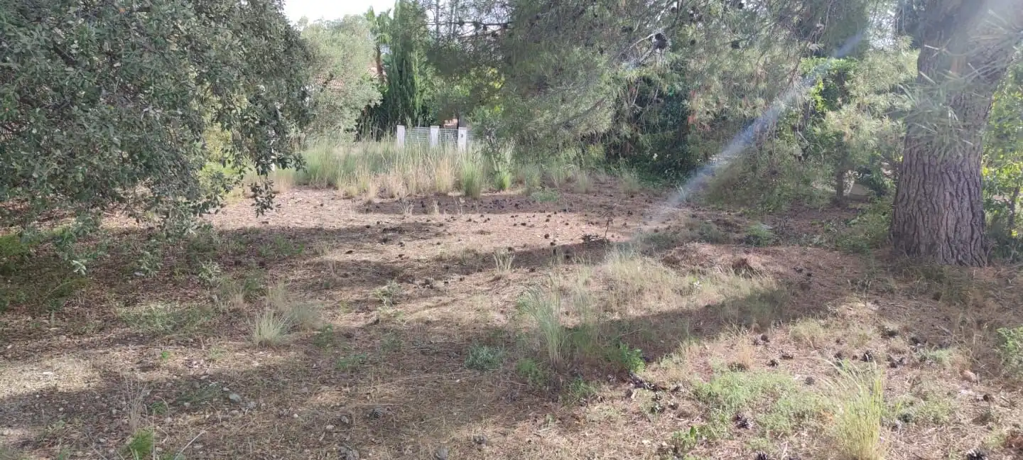 Lands and plots for sale in DE LA CAMELIA 4, imagen 4