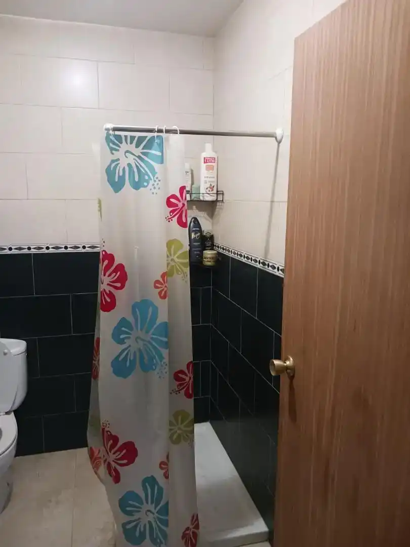 Baño de Dúplex en venta en Fortuna con Aire acondicionado, Jardín privado y Amueblado