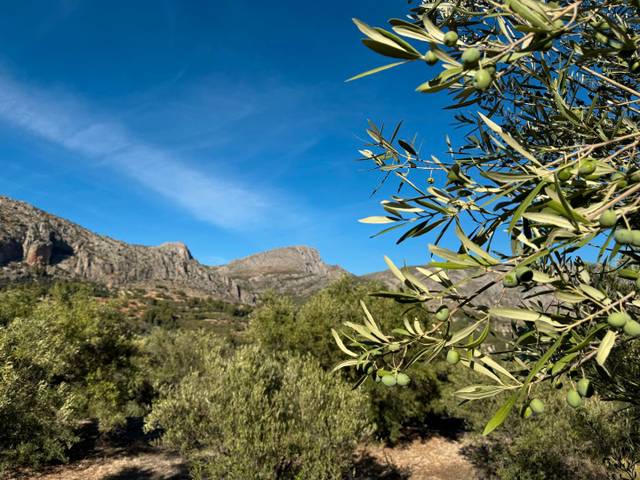 Terreno en Venta en CV-70, 17 en Beniardà