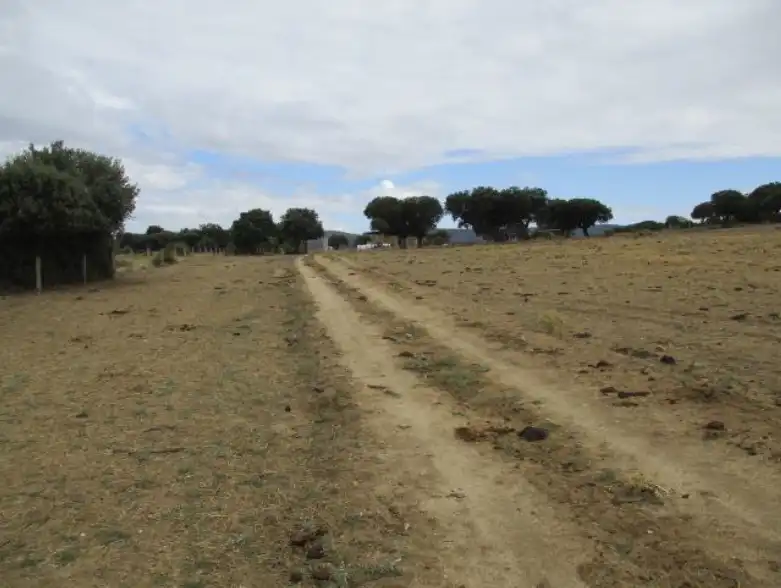 Land for sale in Puente del Congosto