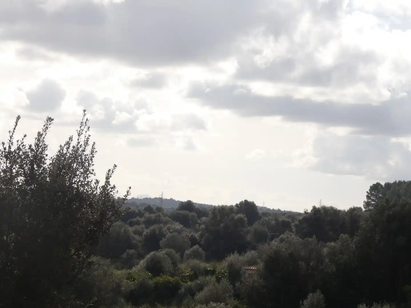 Terrain rustique à vendre à Muro, imagen 11