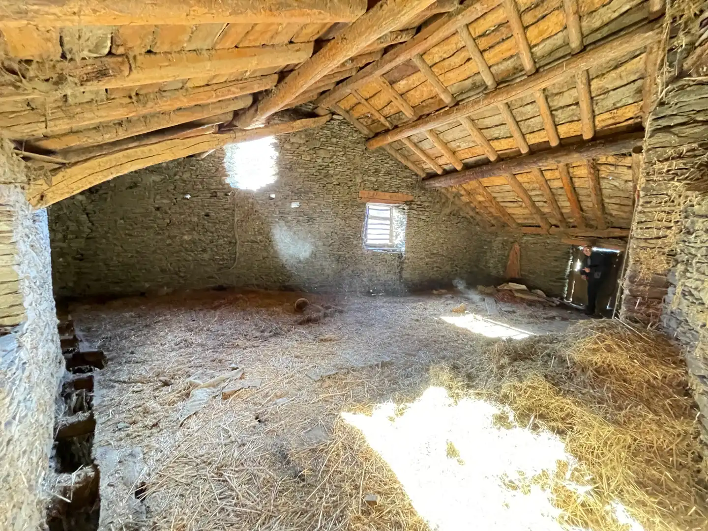 Finca rústica en venda en Esterri de Cardós