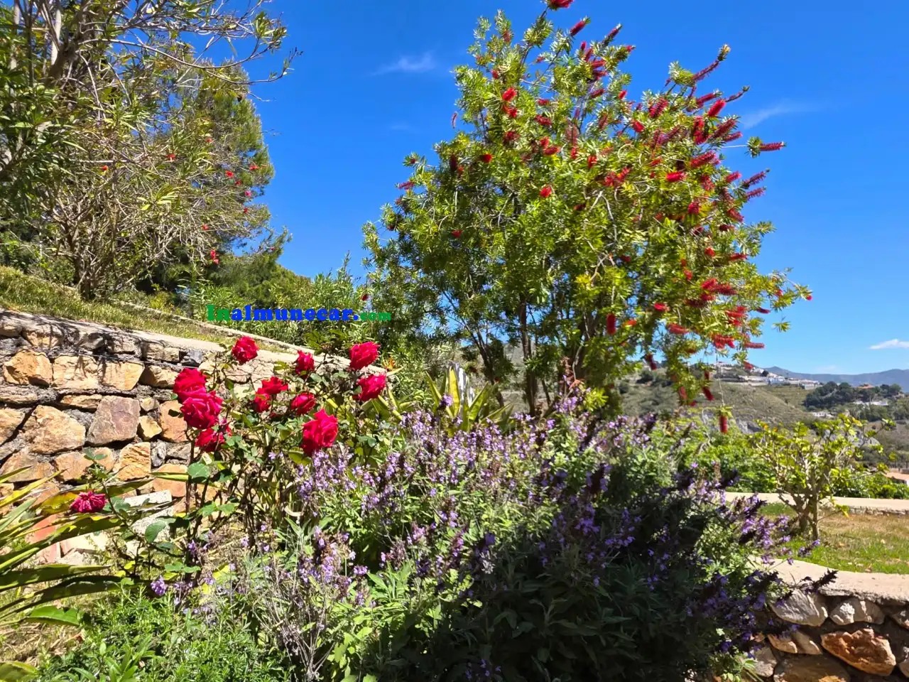 Jardín de Casa o chalet en venta en Almuñécar con Aire acondicionado, Calefacción y Terraza