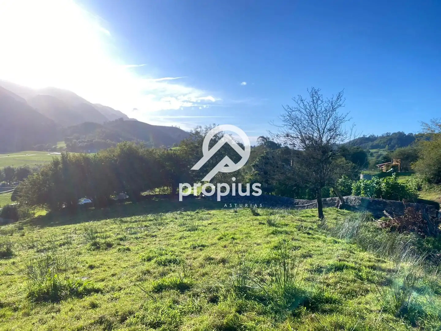 Terreno residencial en venta en LA BORBOLLA, imagen 10