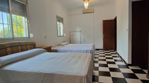 Photo 3 of House or chalet for sale in  Polígono 82 Paraje 640 Mari Vaquera, Carmona, Sevilla