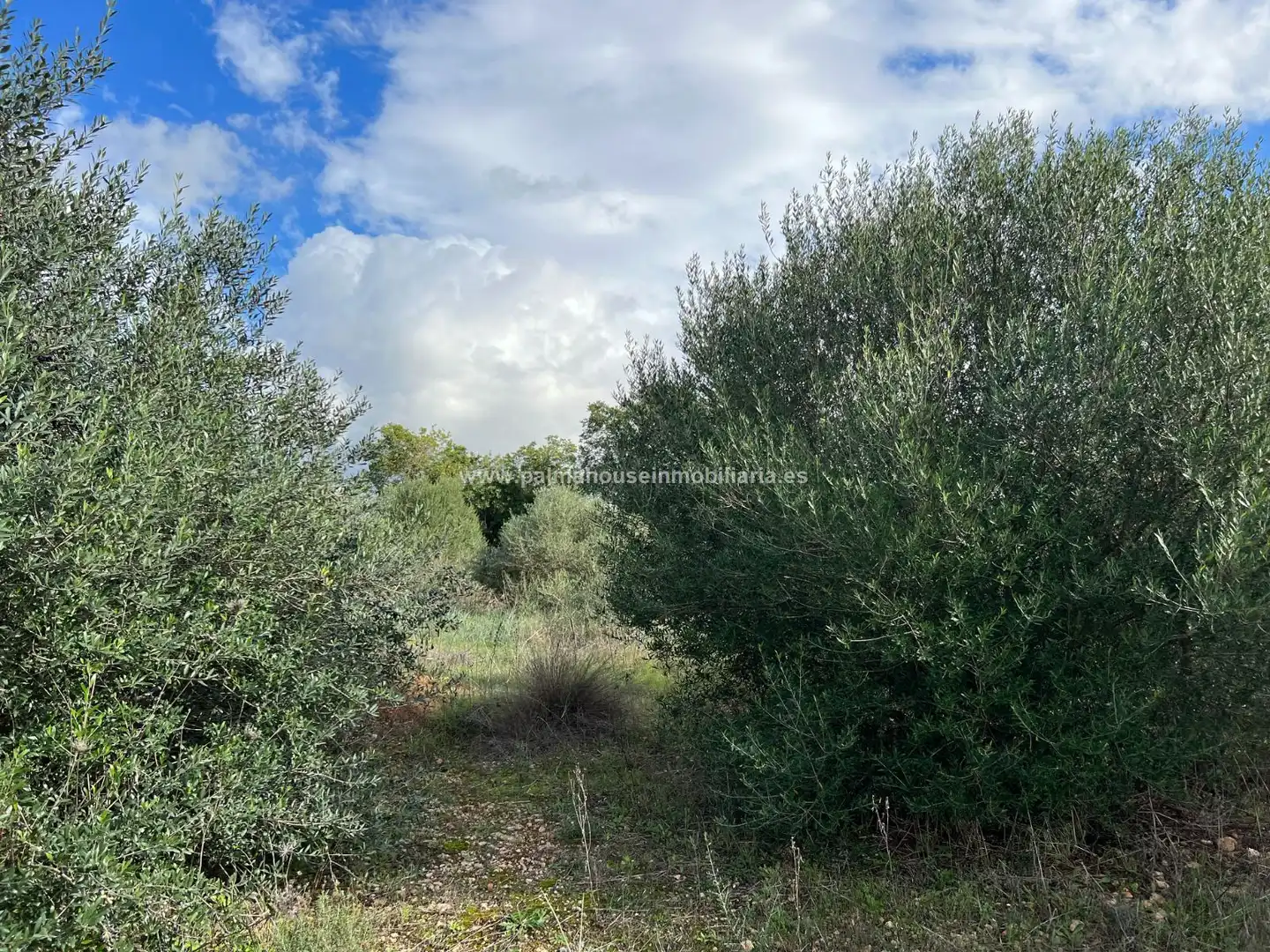 Residencial en venta en Algaida