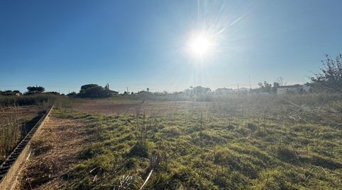 Foto 3 de Finca rústica en venda a Camí la Ratlla, 80, La Curva, Benicasim / Benicàssim