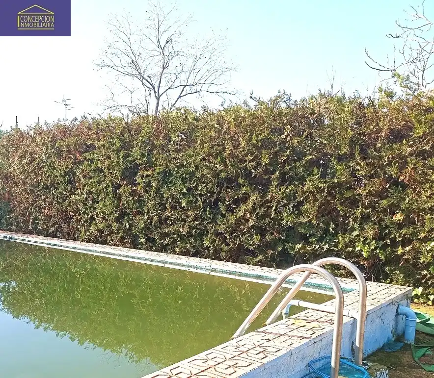 Villa avec piscine à vendre à Periurbano Este - Campiña, imagen 15
