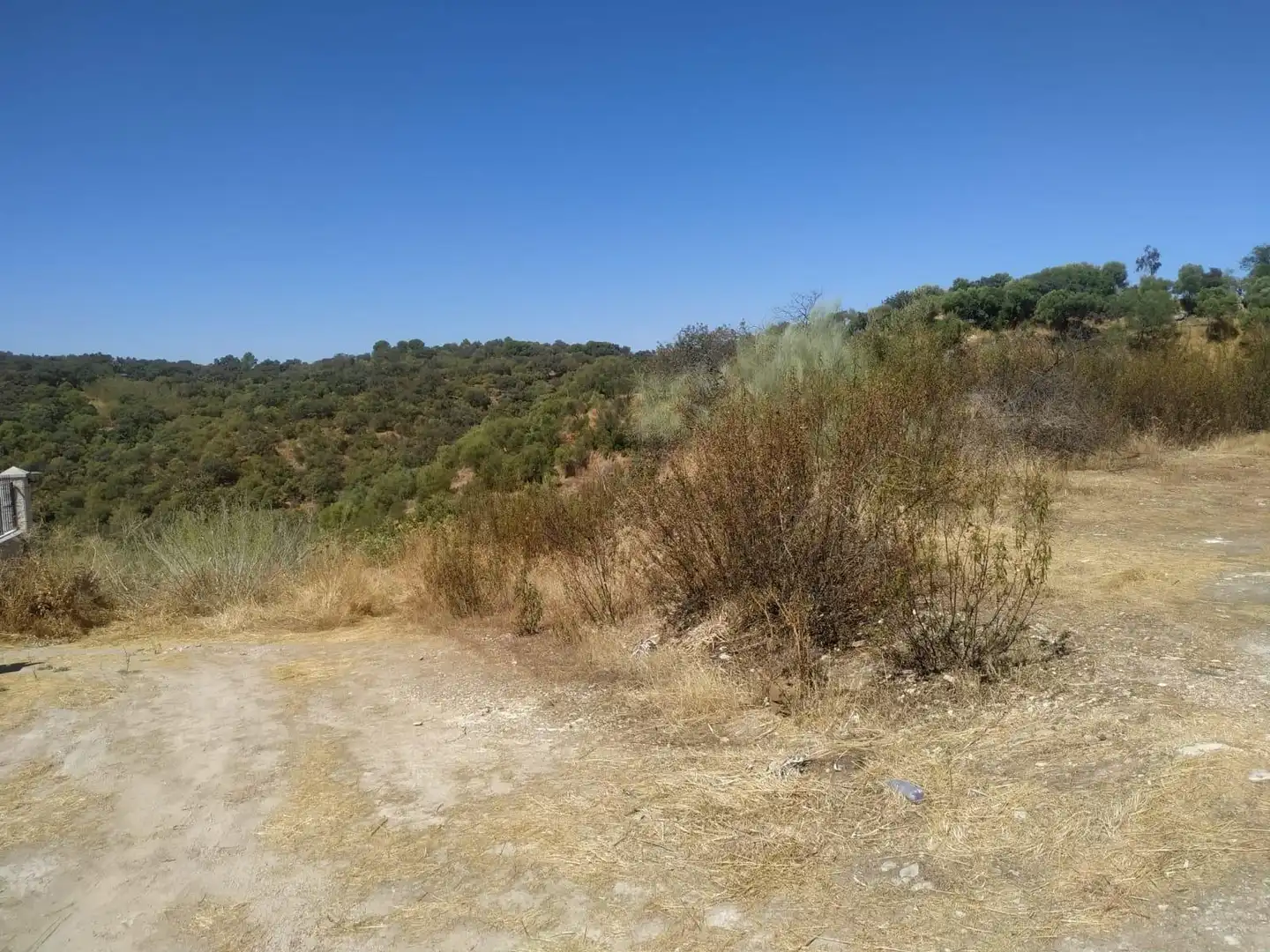 Terreny rústic en venda a Almodóvar del Río, imagen 8